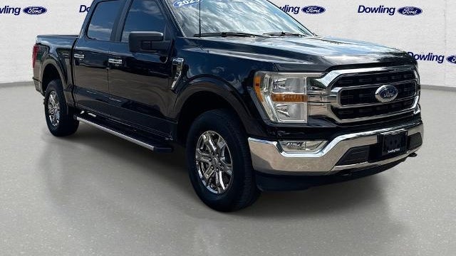 Preowned 2023 Ford F-150 XLT for Sale