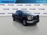 2023 F-150 Thumbnail 2