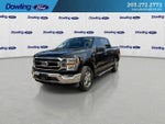 2023 F-150 Thumbnail 4