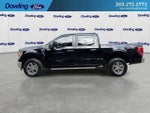 2023 F-150 Thumbnail 5