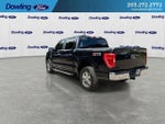 2023 F-150 Thumbnail 6