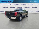 2023 F-150 Thumbnail 8