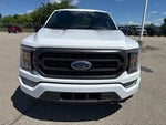 2023 F-150 Thumbnail 7