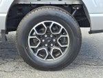 2023 F-150 Thumbnail 8