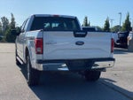 2015 F-150 Thumbnail 5