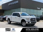 2015 F-150 Thumbnail 1