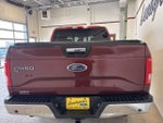 2016 F-150 Thumbnail 3