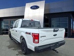 2017 F-150 Thumbnail 3