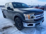 2018 F-150 Thumbnail 8