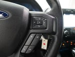 2019 F-150 Thumbnail 18