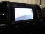 2019 F-150 Thumbnail 19