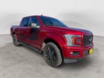 2019 F-150 Thumbnail 5