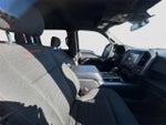 2019 F-150 Thumbnail 10