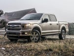 2019 F-150 Thumbnail 1
