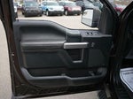 2019 F-150 Thumbnail 12