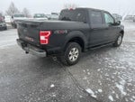 2019 F-150 Thumbnail 5