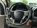 2019 F-150 Thumbnail 6