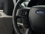 2019 F-150 Thumbnail 8