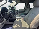 2019 F-150 Thumbnail 11