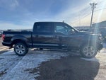 2019 F-150 Thumbnail 2