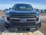 2019 F-150 Thumbnail 4