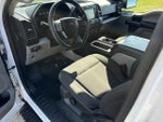 2019 F-150 Thumbnail 2