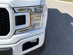2019 F-150 Thumbnail 10