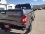 2019 F-150 Thumbnail 5