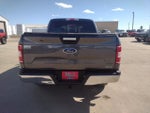 2019 F-150 Thumbnail 6