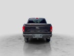 2020 F-150 Thumbnail 5