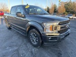 2020 F-150 Thumbnail 12
