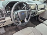 2020 F-150 Thumbnail 11