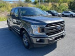 2020 F-150 Thumbnail 4