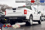 2020 F-150 Thumbnail 4
