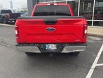 2020 F-150 Thumbnail 8