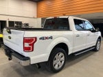 2020 F-150 Thumbnail 5