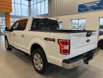 2020 F-150 Thumbnail 7