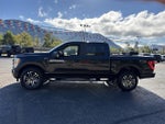 2021 F-150 Thumbnail 8