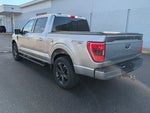 2021 F-150 Thumbnail 1