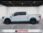 2021 F-150 Thumbnail 2