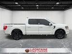 2021 F-150 Thumbnail 6
