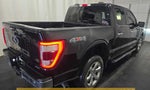 2021 F-150 Thumbnail 5