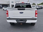 2021 F-150 Thumbnail 5