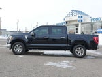 2021 F-150 Thumbnail 3
