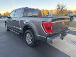 2021 F-150 Thumbnail 6