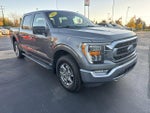 2021 F-150 Thumbnail 8