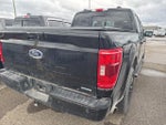 2021 F-150 Thumbnail 8