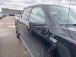 2021 F-150 Thumbnail 10