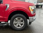 2021 F-150 Thumbnail 3