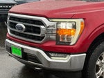 2021 F-150 Thumbnail 4
